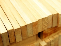 家長(zhǎng)們集體發(fā)聲：不要打著“環(huán)保”的旗子對(duì)孩子痛下毒手！