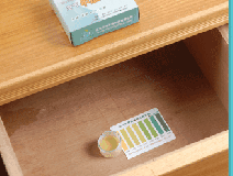 室內(nèi)除甲醛主要就是這三步，做好了無污染！