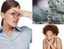 家里有異味怎么辦？科學(xué)除味、治理甲醛就對(duì)了！